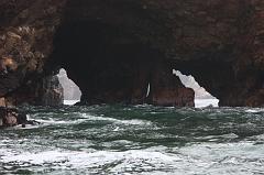 1152-Isole Ballestas,19 luglio 2013